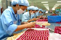 Những mối nguy hai ảnh hưởng đường hô hấp 