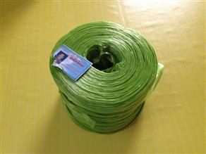 DÂY BUỘC HÀNG XANH