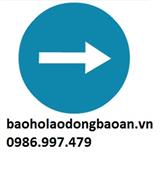 BIỂN BÁO GIAO THÔNG SỐ 301C 301C