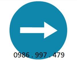 Biển báo hướng đi phải theo - số hiệu 301b