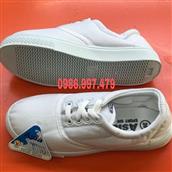 Giày vải Asia buộc dây màu trắng