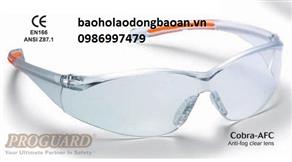 KÍNH  PROGUARD CHỐNG TĨNH ĐIỆN