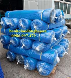 Bao An LƯỚI HÀN QUỐC MÀU XANH NƯỚC BIỂN LCB - 01